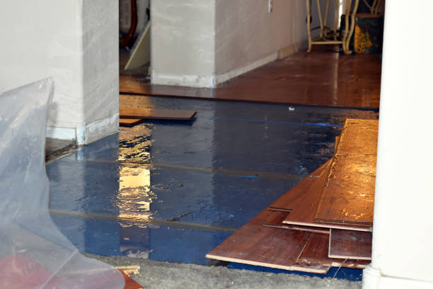 Professional Burst Pipe Cleanup technician working in Felton, DE
